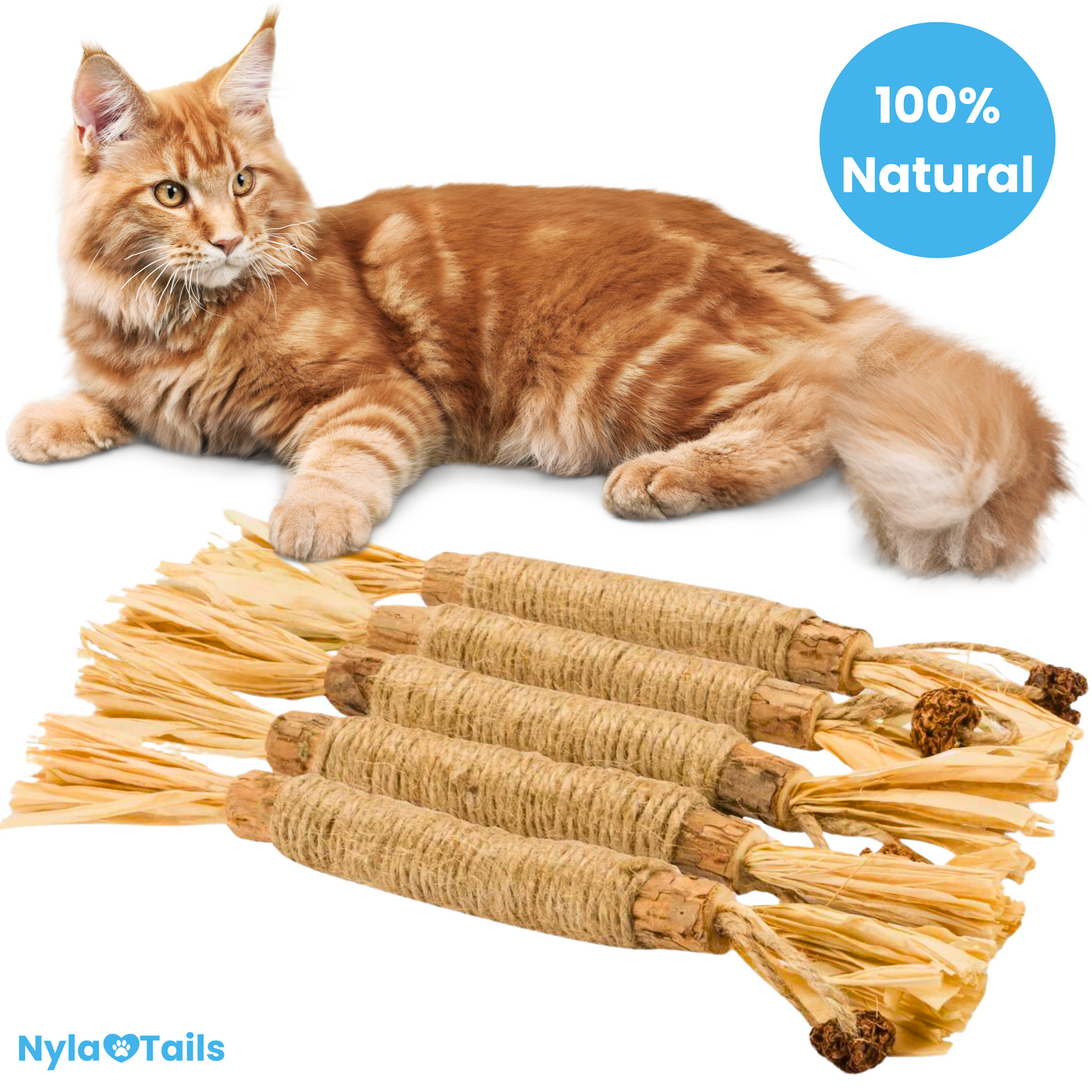 🐾 Nylatails® Silvervine Dental Sticks – Verzorging & Gezondheid voor je Huisdier!
