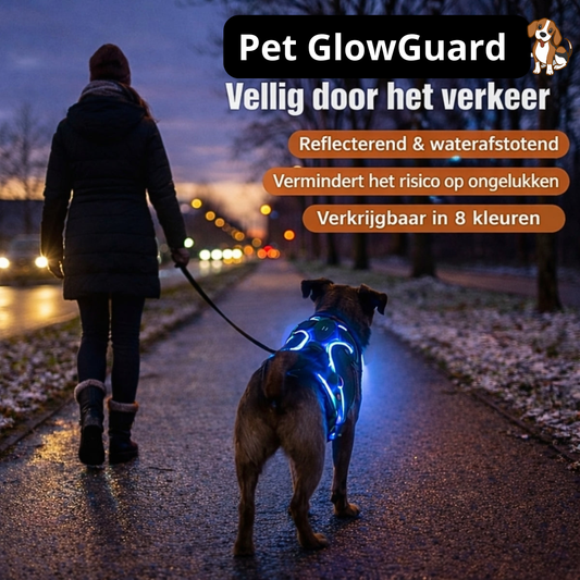 Pet GlowGuard LED Hondenharnas
