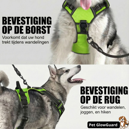 Pet GlowGuard LED Hondenharnas