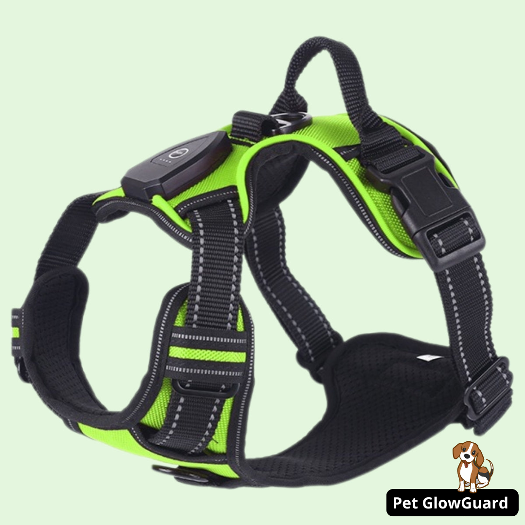 Pet GlowGuard LED Hondenharnas