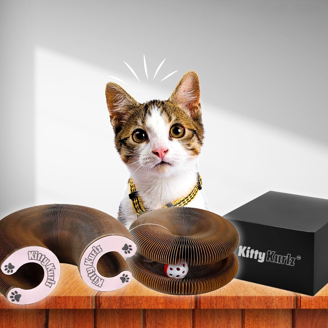 KittyKurlyz™ – De Ultieme Krab- en Speelervaring voor Jouw Kat!