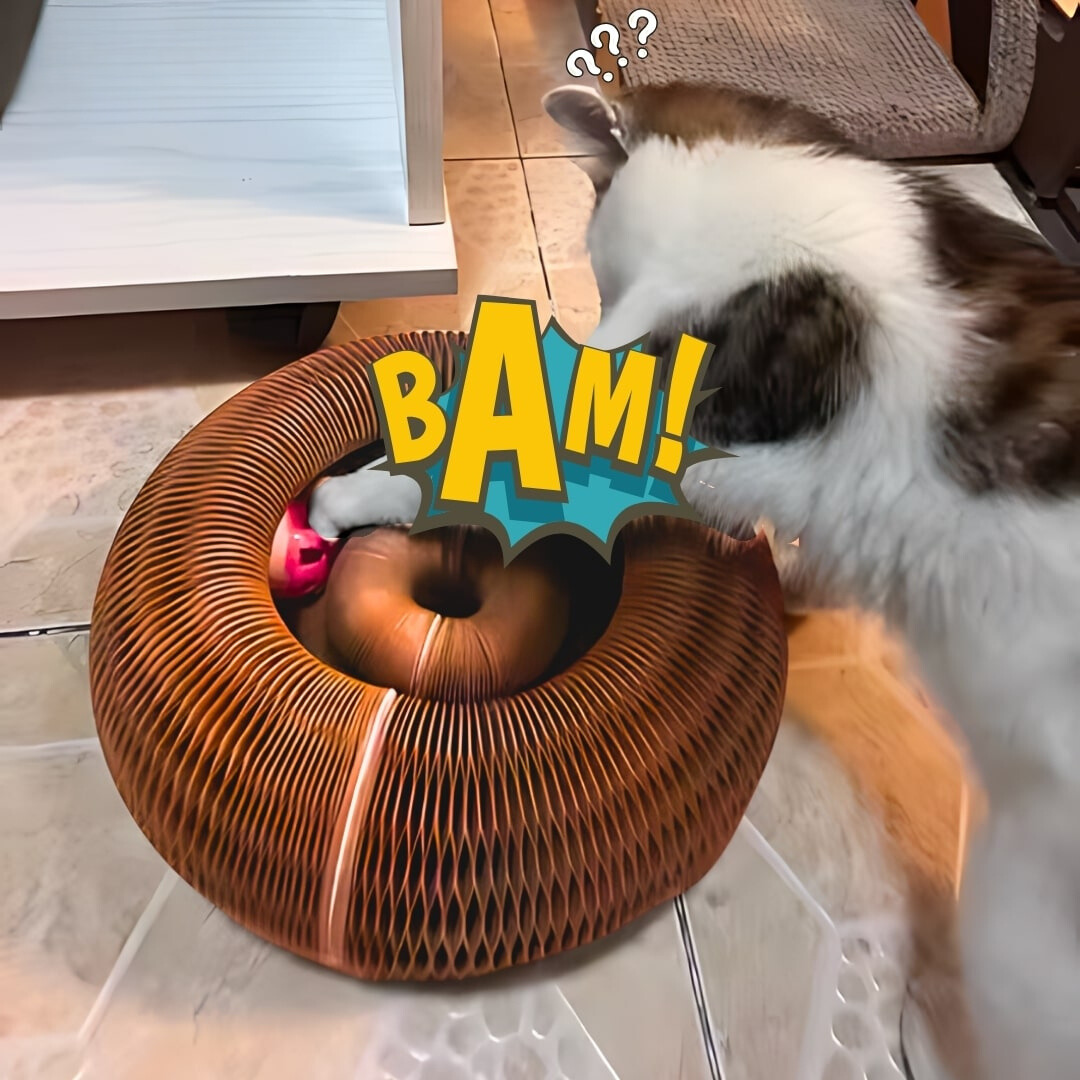 KittyKurlyz™ – De Ultieme Krab- en Speelervaring voor Jouw Kat!
