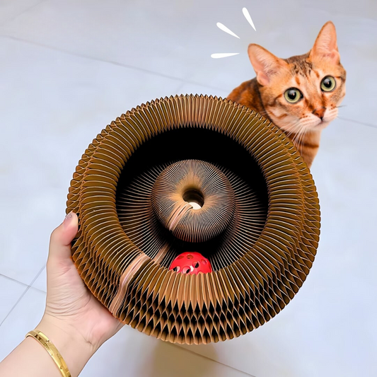 KittyKurlyz™ – De Ultieme Krab- en Speelervaring voor Jouw Kat!