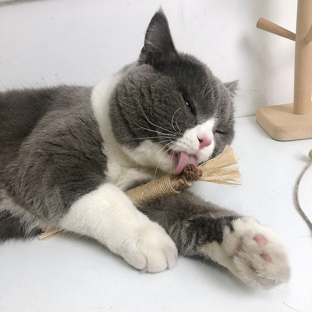 🐾 Nylatails® Silvervine Dental Sticks – Verzorging &amp; Gezondheid voor je Huisdier!