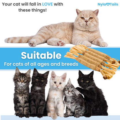 🐾 Nylatails® Silvervine Dental Sticks – Verzorging &amp; Gezondheid voor je Huisdier!