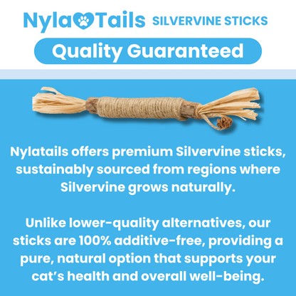 🐾 Nylatails® Silvervine Dental Sticks – Verzorging &amp; Gezondheid voor je Huisdier!