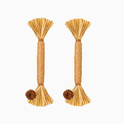 🐾 Nylatails® Silvervine Dental Sticks – Verzorging &amp; Gezondheid voor je Huisdier!