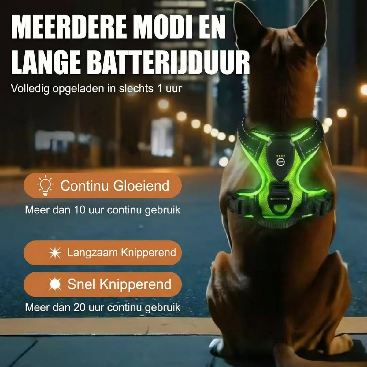 Pet GlowGuard LED Hondenharnas