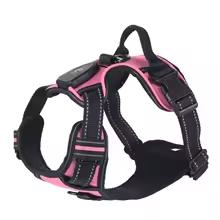 Pet GlowGuard LED Hondenharnas