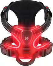 Pet GlowGuard LED Hondenharnas