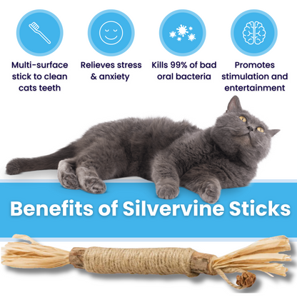 🐾 Nylatails® Silvervine Dental Sticks – Verzorging &amp; Gezondheid voor je Huisdier!